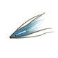 Blue Nighthawk Tube Fly Salmon Fly Sea Trout Flies Plastic Tubes