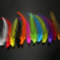 Saltwater Neck Hackle Feathers Fly Tying Material