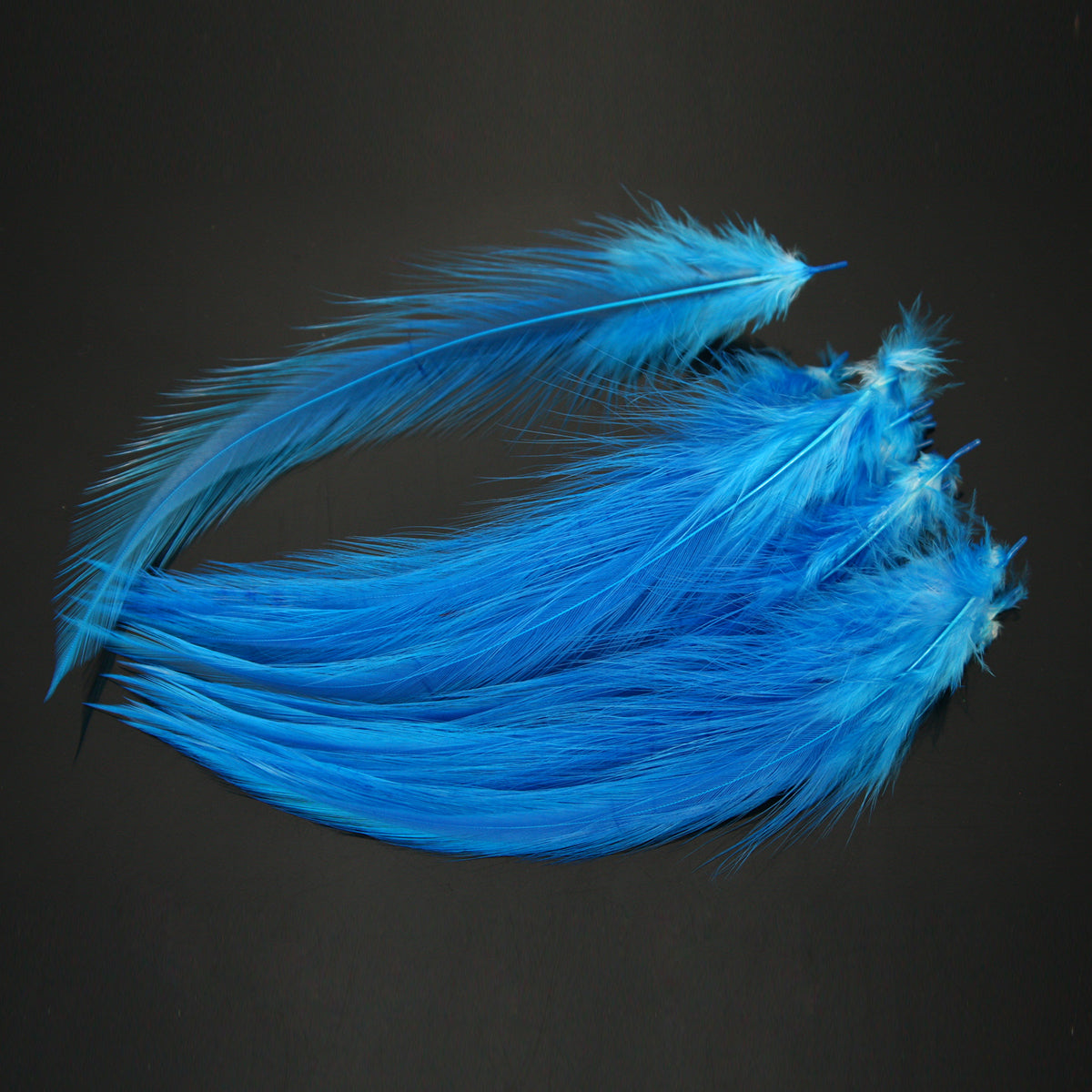 Saltwater Feathers 