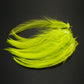 Saltwater Neck Hackle Feathers Fly Tying Material