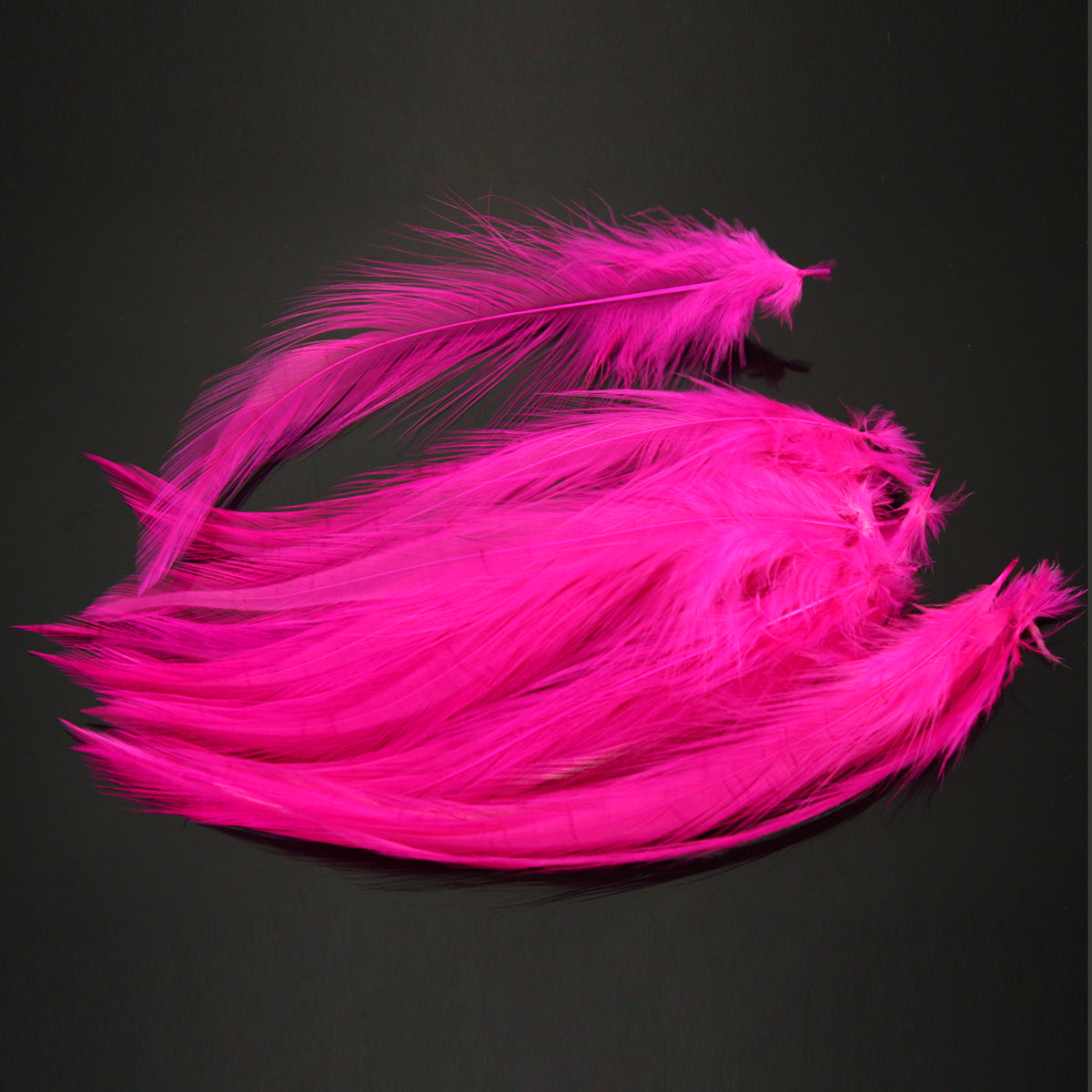 7-9 Inch Long Pink Feathers. Magenta Bird Quills for Making Costumes. Hot  Pink Rooster Tail Feathers for Halloween Masks and Hair Braids 