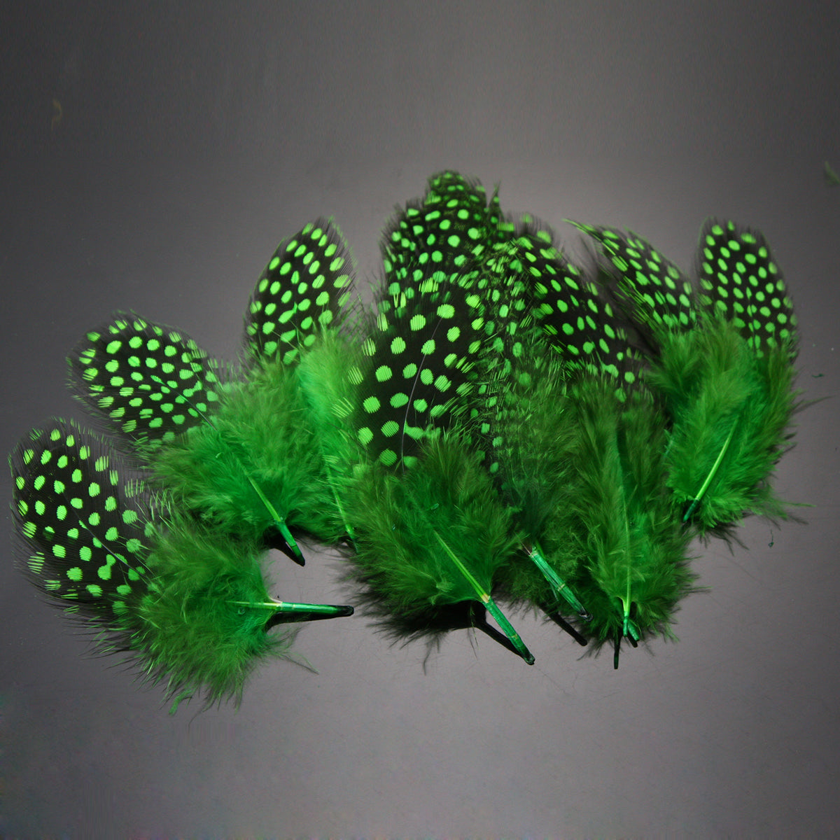 Guinea Hen Feather Saltwater Hackle Fly Tying Material