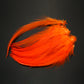 Saltwater Neck Hackle Feathers Fly Tying Material