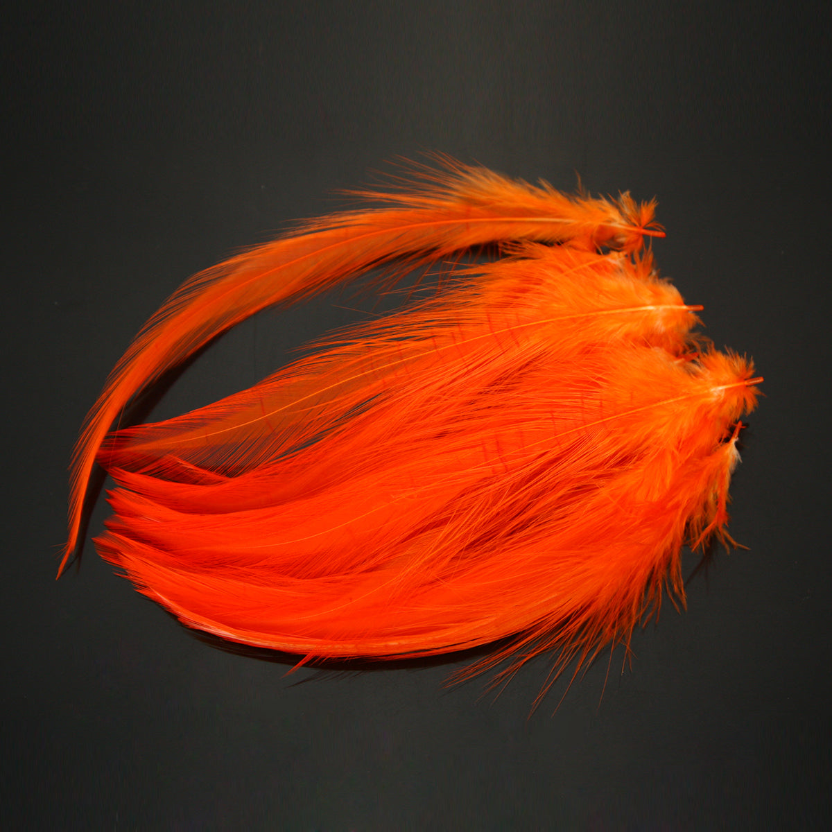 Saltwater Neck Hackle Feathers Fly Tying Material – LeLe Flies
