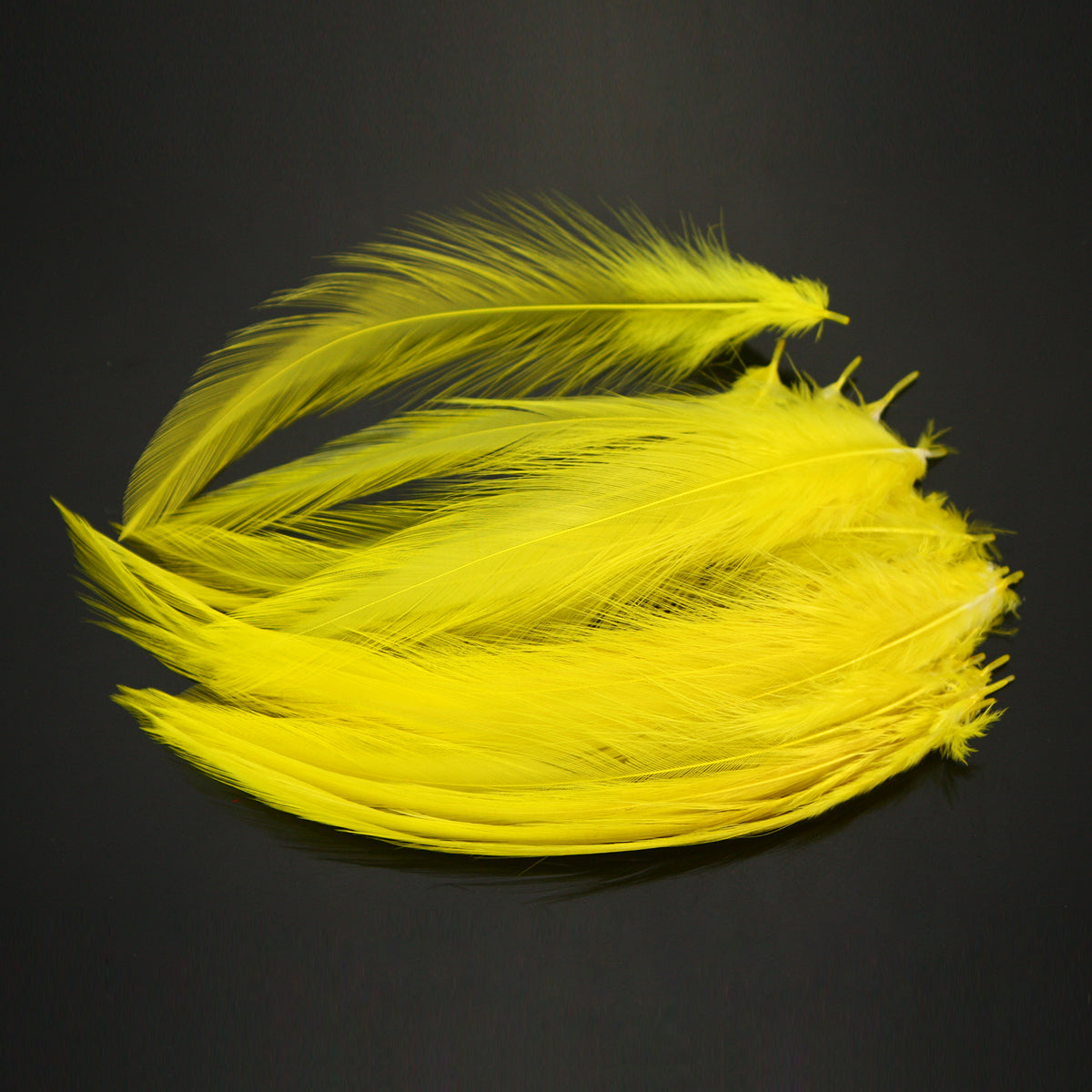 Saltwater Neck Hackle Feathers Fly Tying Material – LeLe Flies
